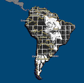 Главари Третьего рейха планировали колонизировать Южную Америку