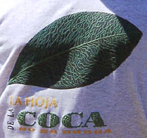 Los cultivos de coca en Colombia no disminuyeron, pese a r&eacute;cord en fumigaciones del 2004