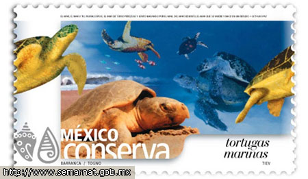 Гибнут черепахи Сальвадора (Фото с сайта www.semarnat.gob.mx)