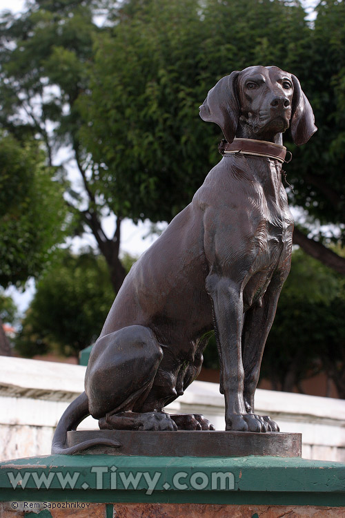 To all appearances, out of all religions in the world these dogs prefer catholicism.