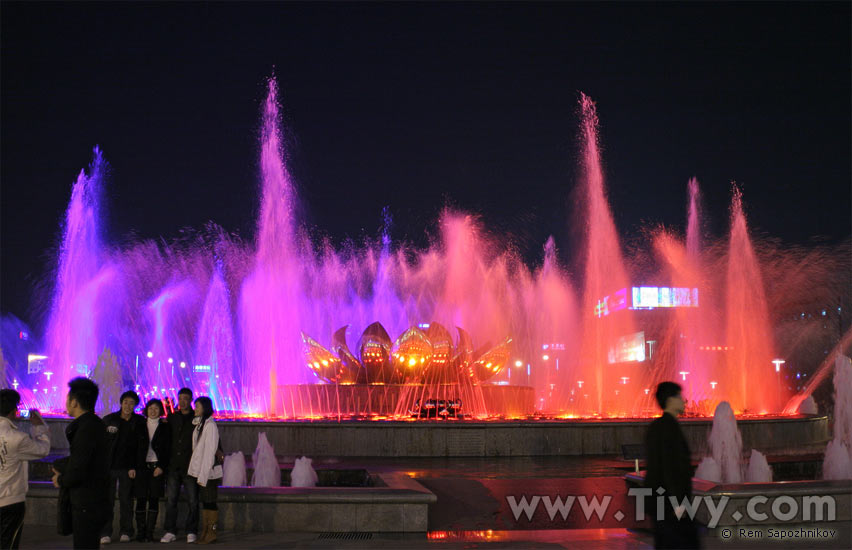 晚上的莲花形状的喷泉