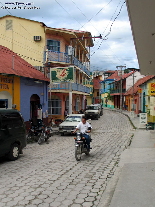 The town of Flores