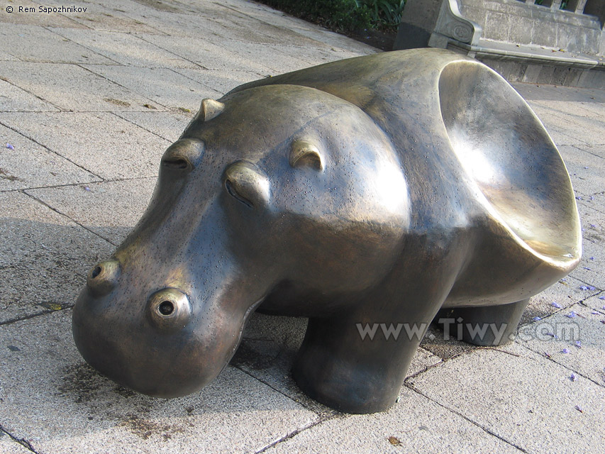 �Dialogue of benches� (Dialogo de bancas)