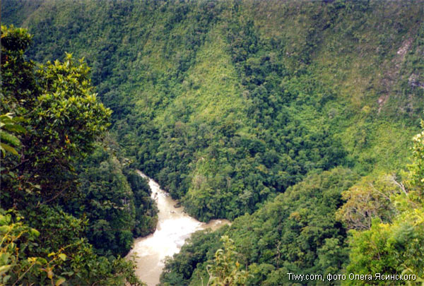 La selva Lacandona. Cortesia Oleg Yasinsky.