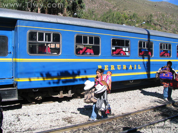 Train to Machu Picchu (Perurail)