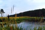 La pesca en el Rio Volga - ocupacion preferida del los dachnics rusos