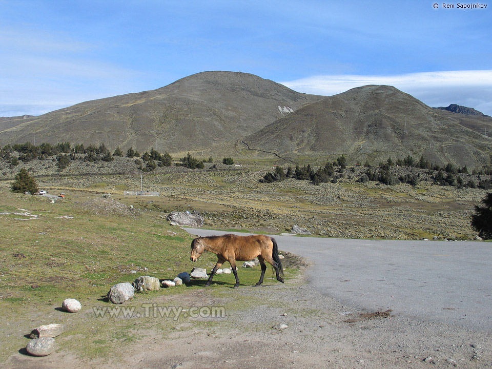 Parque Nacional Sierra Nevada. 