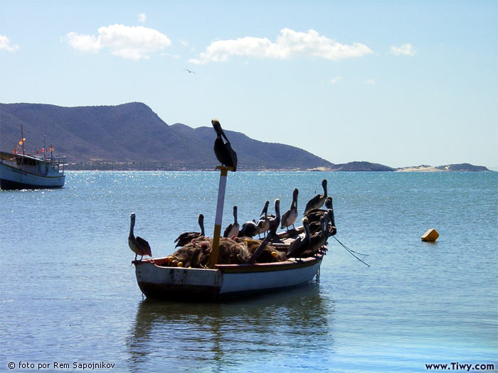 Margarita Island, Venezuela