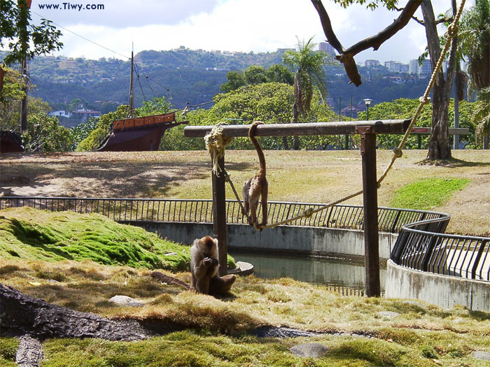 Parque del Este, Caracas