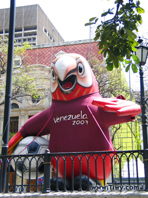 Символом Кубка Америк 2007 стала яркая глазастая птичка «Гуаки» (Guaky). 