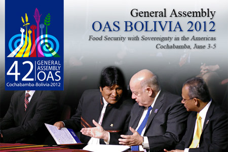 The Fate of OAS to be Decided in 2013: Overhaul or Dissolution