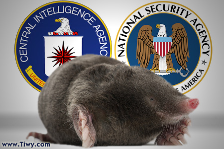 The «Snowden Effect» and the Problem of «Moles» in U.S. Intelligence