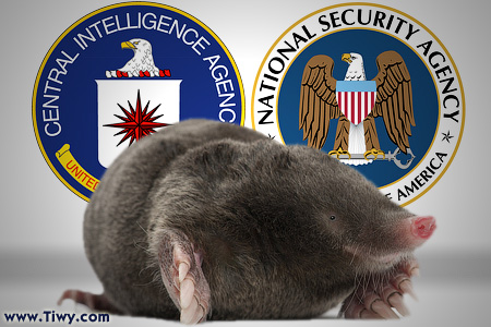El "Efecto Snowden" y el problema de los "topos" en la inteligencia norteamericana El "Efecto Snowden" y el problema de los "topos" en la inteligencia norteamericana