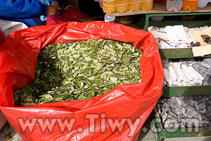 Coca leaves on market in Potosi