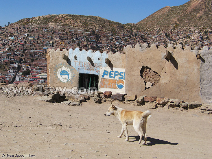 Un Perro Callejero, feliz por el hecho de que tiene su propio pedazo de espacio vital.