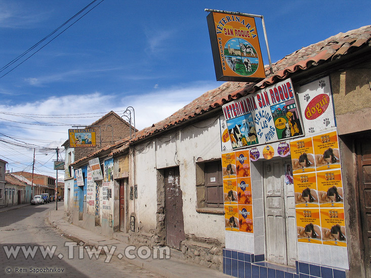 Veterinaria San Roque