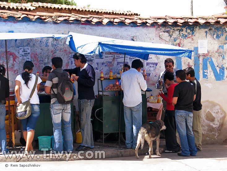 Dona al menos un perro caliente al pobre perro!!