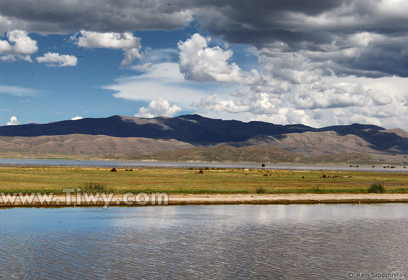 El tren se desplazaba directamente sobre el agua