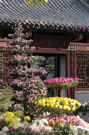 Garden near the spring Baotu