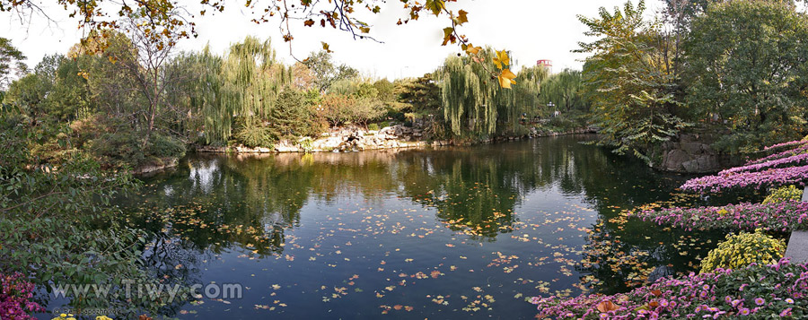 Garden near the spring Baotu