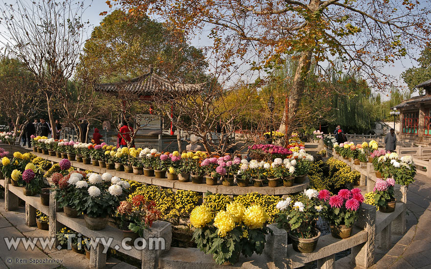 Jardin y fuente Baotu