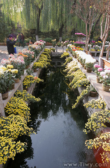 Garden near the spring Baotu