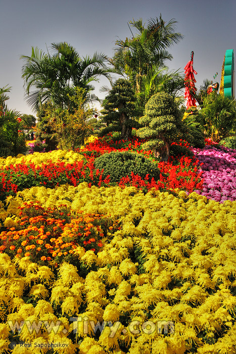 El Parque se hunde en el vasto mar de flores