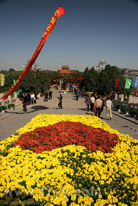 Chrysanthemum festival has just begun