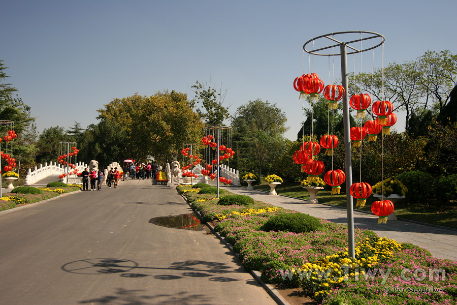 Avanzando al interior del parque