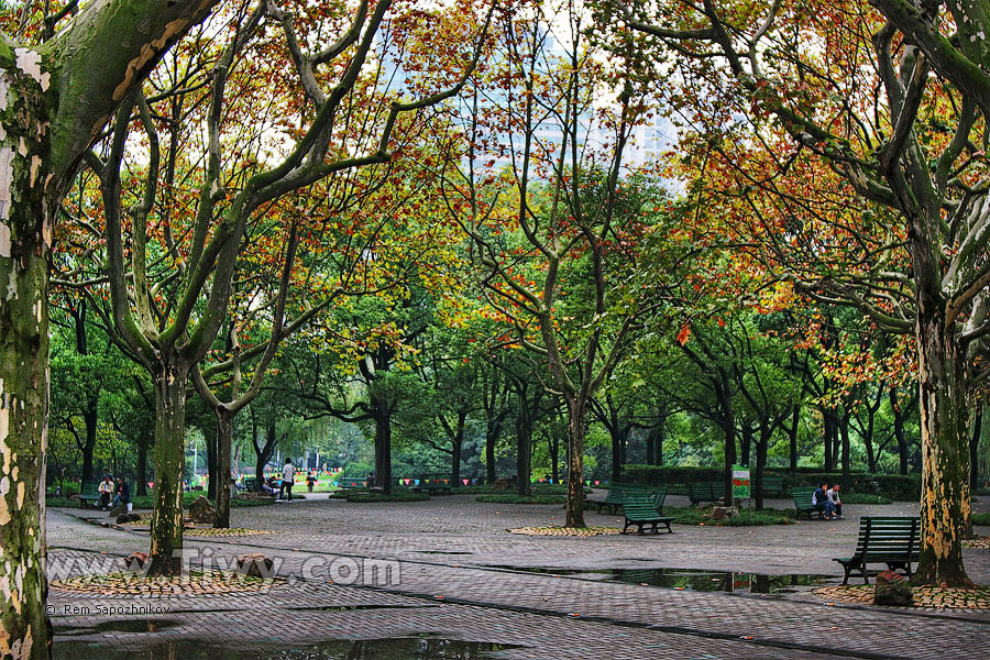 Парк Zhong Shan
