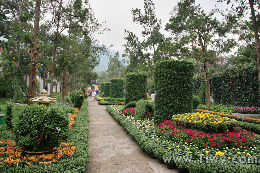 Jardin Jichang