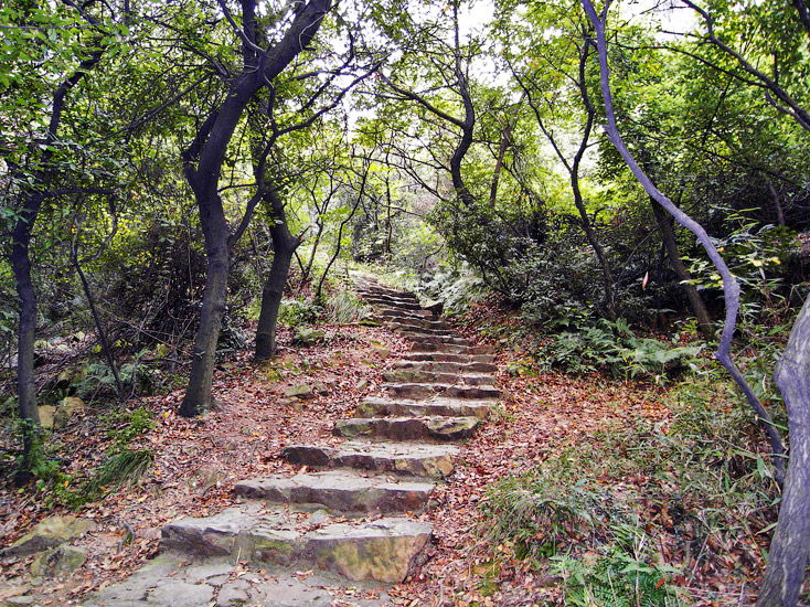 This path brought me to the Huishan hill