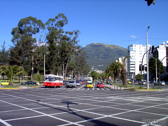 Maсana en Quito