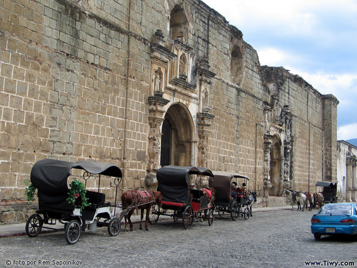 Atencion Sres. Turistas! Los caballos estan listos para arrancar!