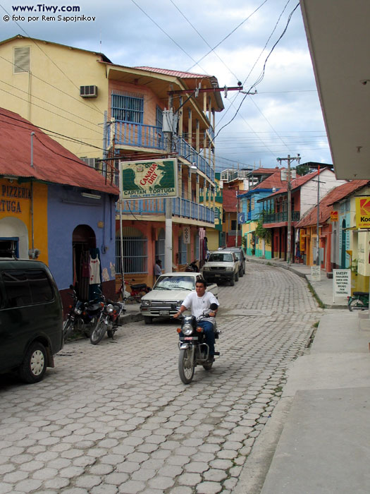 La ciudad Flores