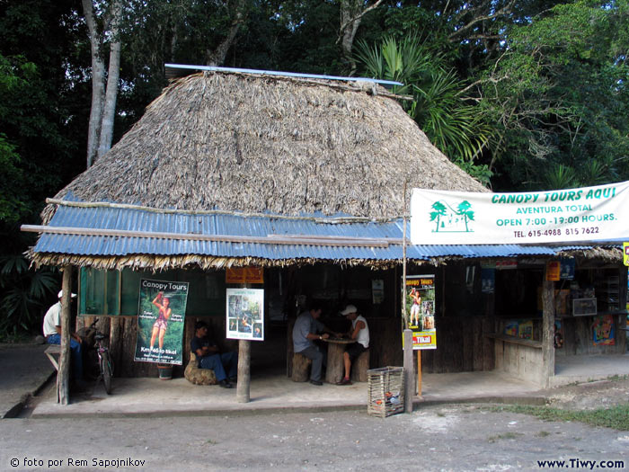 Canopy Tours