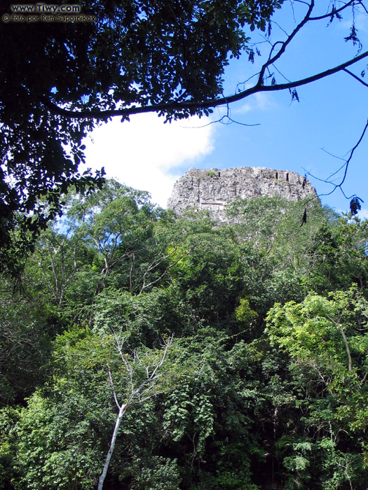 The top of the Temple IV