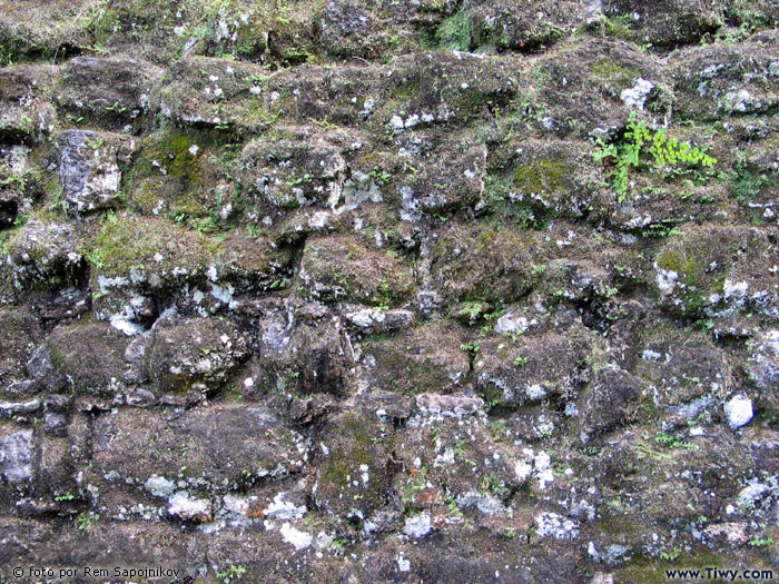 Tikal, Guatemala