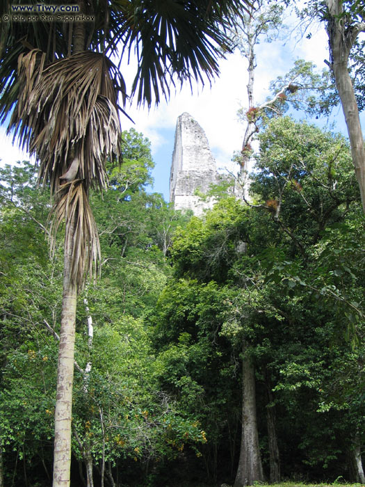 Diferentes angulos del Templo IV.