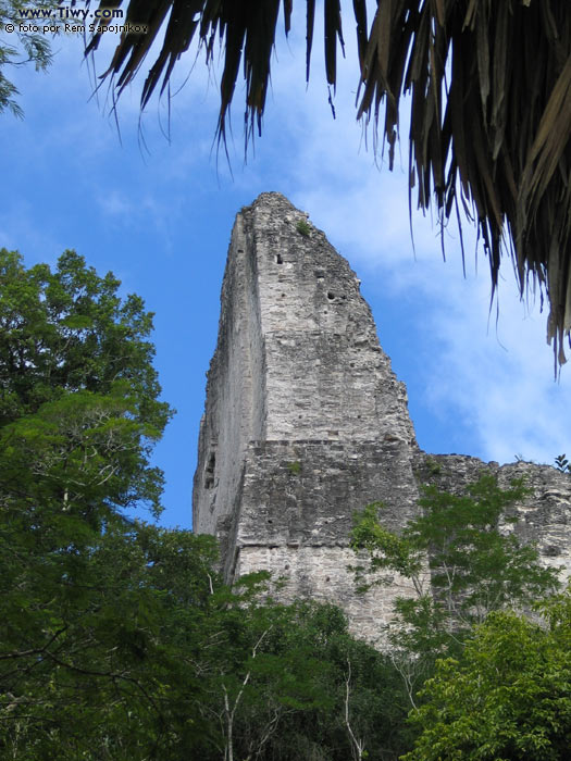 Diferentes angulos del Templo IV.