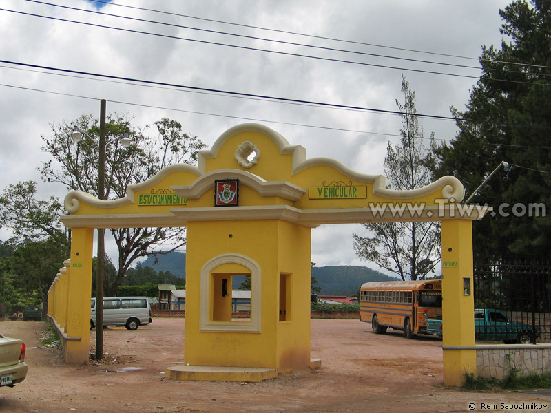 Motor cars and bus station