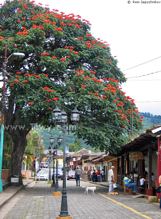 Valle de Angeles, Honduras