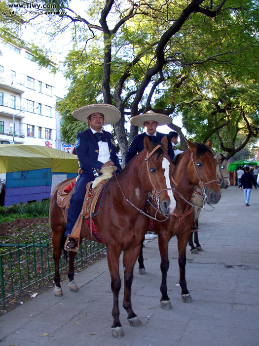 The guards of Alameda Park