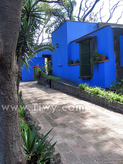 The Blue House of Frida Kahlo