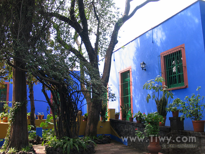 The Blue House of Frida Kahlo