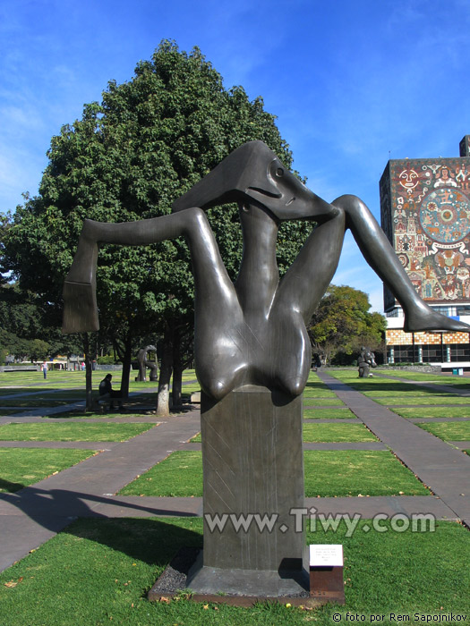 National Autonomous University of Mexico (UNAM)