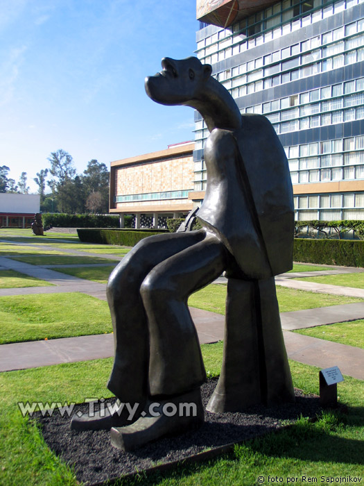 Universidad Nacional Autonoma de Mexico (UNAM)