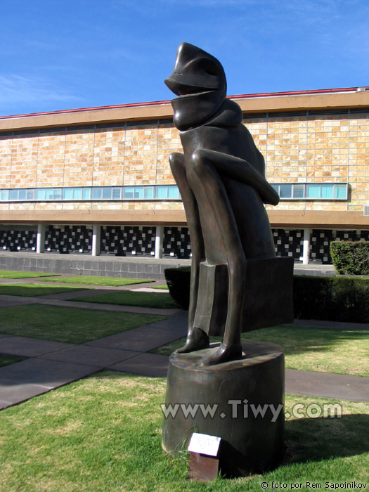 Universidad Nacional Autonoma de Mexico (UNAM)