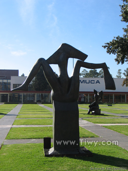 Universidad Nacional Autonoma de Mexico (UNAM)