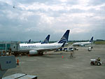 Aircrafts of «Copa Airlines»